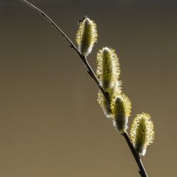 14ursula schomer minimalismus 02